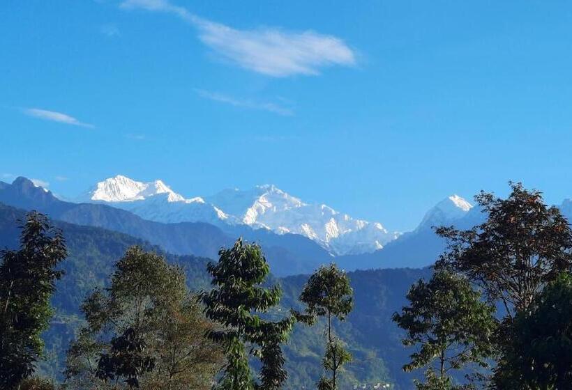 Resort Red Panda Jungle Camp A Unit Of Davinchi Homes Pvt Ltd