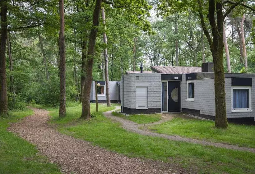 リゾートホテル Summio Parc De Berkenhorst