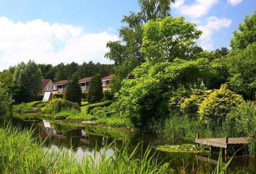 Курорт Summio Vakantiepark Emslandermeer