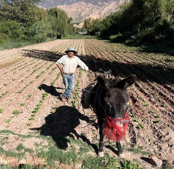 Herberge El Encuentro Cabaña Con Vistas A Los Cerros Maimará