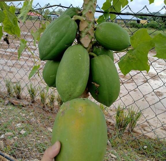 Pensión 3 Single Bed With Private Bathroom