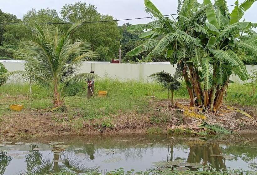 Pensión 3 Single Bed With Private Bathroom