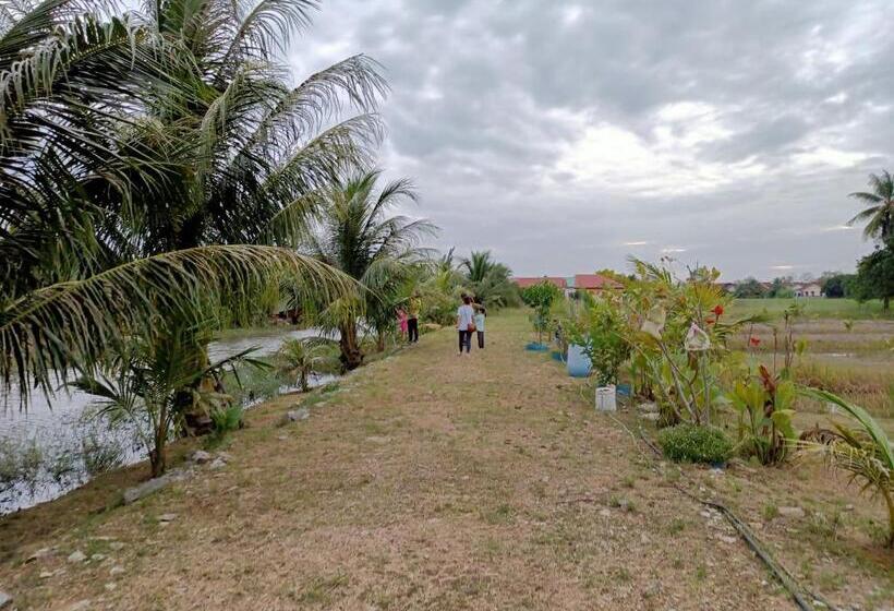 Pensión 3 Single Bed With Private Bathroom