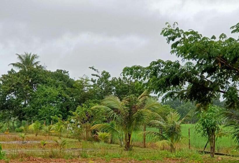 Pensión 3 Single Bed With Private Bathroom