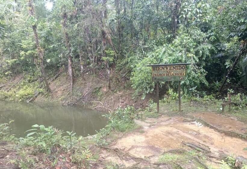Panzió Los Cocos Hostal