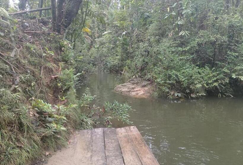 Panzió Los Cocos Hostal