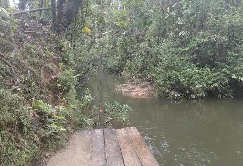 ペンション Los Cocos Hostal