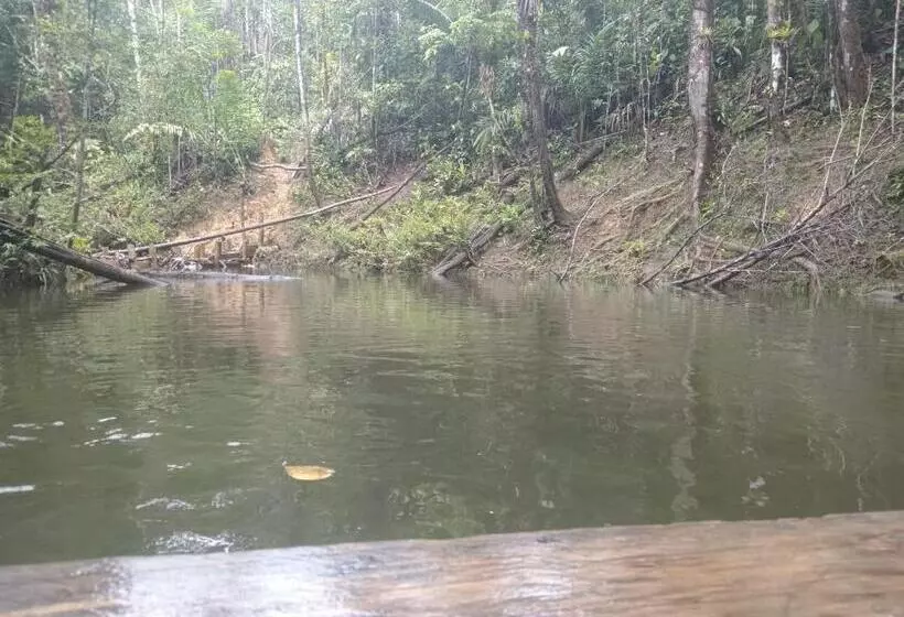 ペンション Los Cocos Hostal