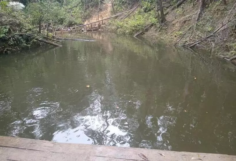 ペンション Los Cocos Hostal