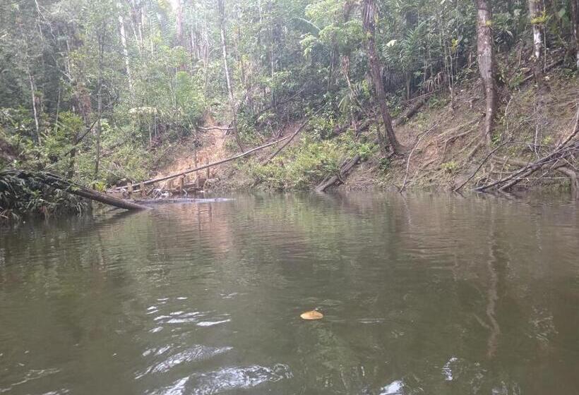 Panzió Los Cocos Hostal
