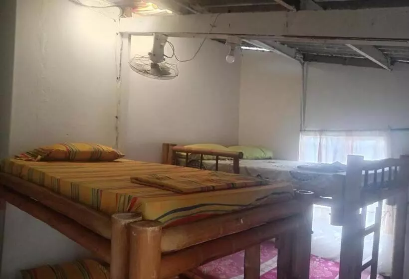 ペンション Los Cocos Hostal