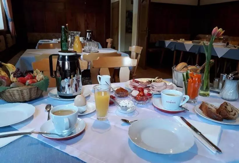 ユースホステル Gasthof Pension Sandwirt