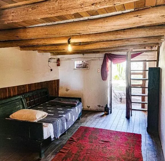 ユースホステル Wolf Totem Mountain Top Dream Villa