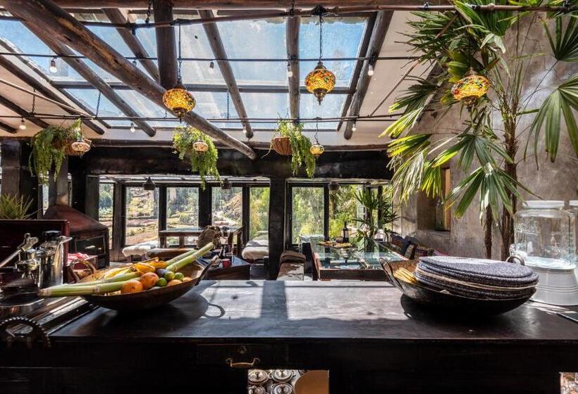 Hostel Wolf Totem Mountain Top Dream Villa