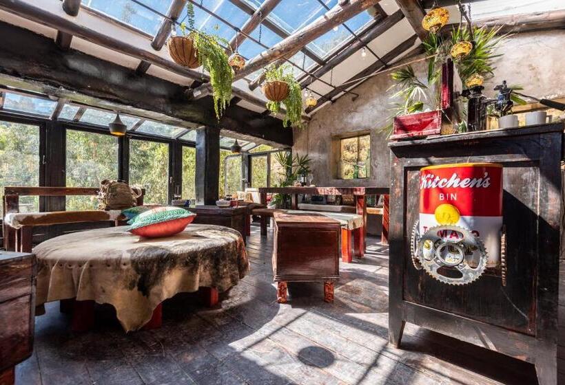 Hostel Wolf Totem Mountain Top Dream Villa