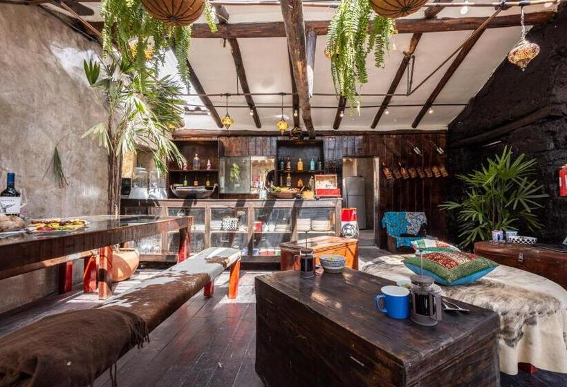 Hostel Wolf Totem Mountain Top Dream Villa