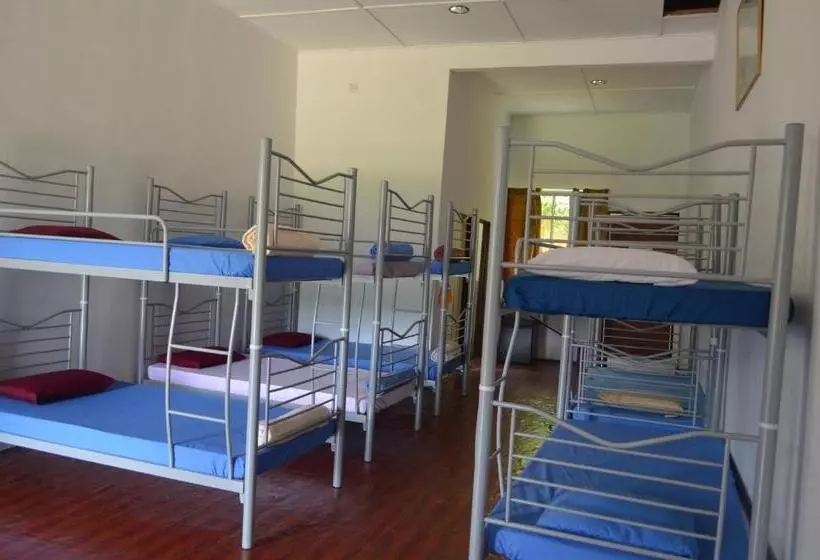 ベッドアンドブレックファースト Belebar Homestay Taman Negara Pahang Malaysia