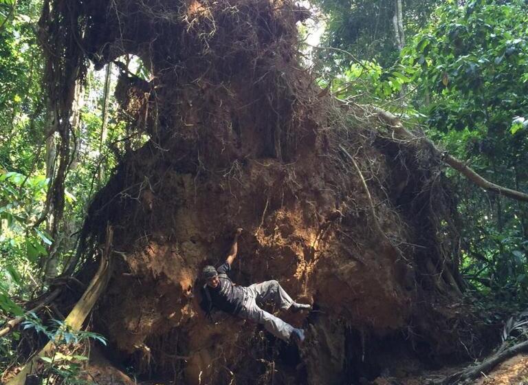 צימר Belebar Homestay Taman Negara Pahang Malaysia