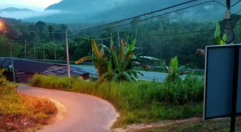 ベッドアンドブレックファースト Belebar Homestay Taman Negara Pahang Malaysia