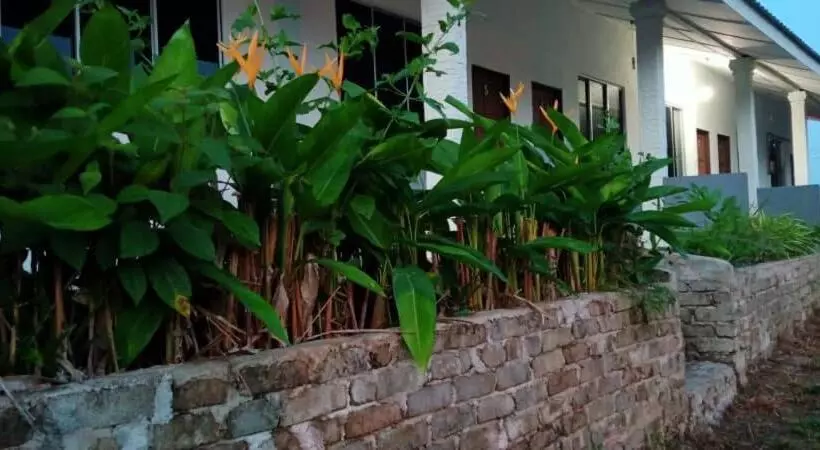 ベッドアンドブレックファースト Belebar Homestay Taman Negara Pahang Malaysia