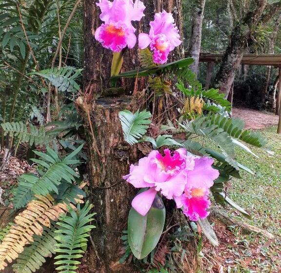 住宿加早餐 Chacara Recanto Vale Do Luar