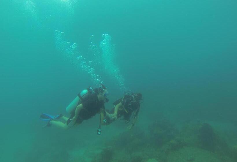 ベッドアンドブレックファースト Perhentian Chomel Chalet