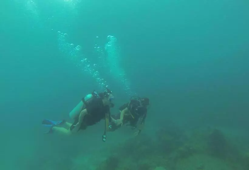 ベッドアンドブレックファースト Perhentian Chomel Chalet