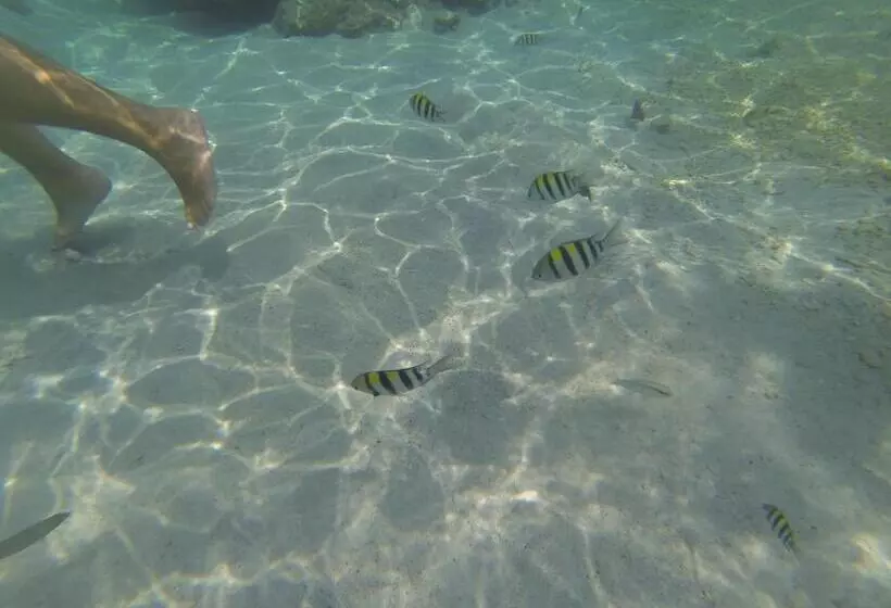 ベッドアンドブレックファースト Perhentian Chomel Chalet