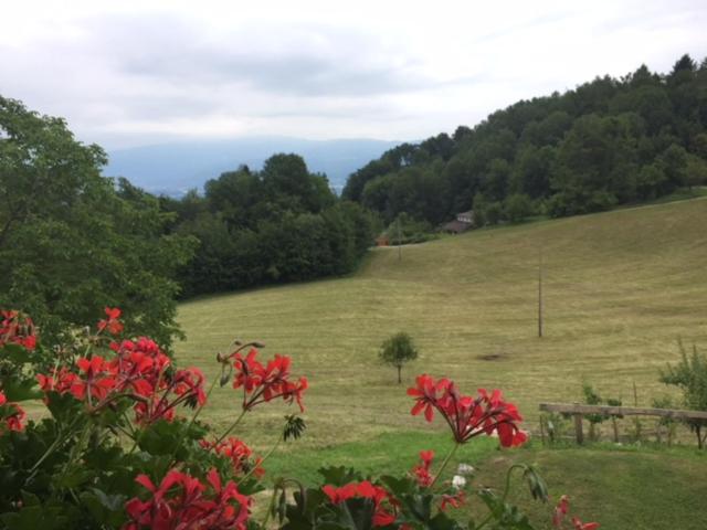 Bed & Breakfast Col Mazzet