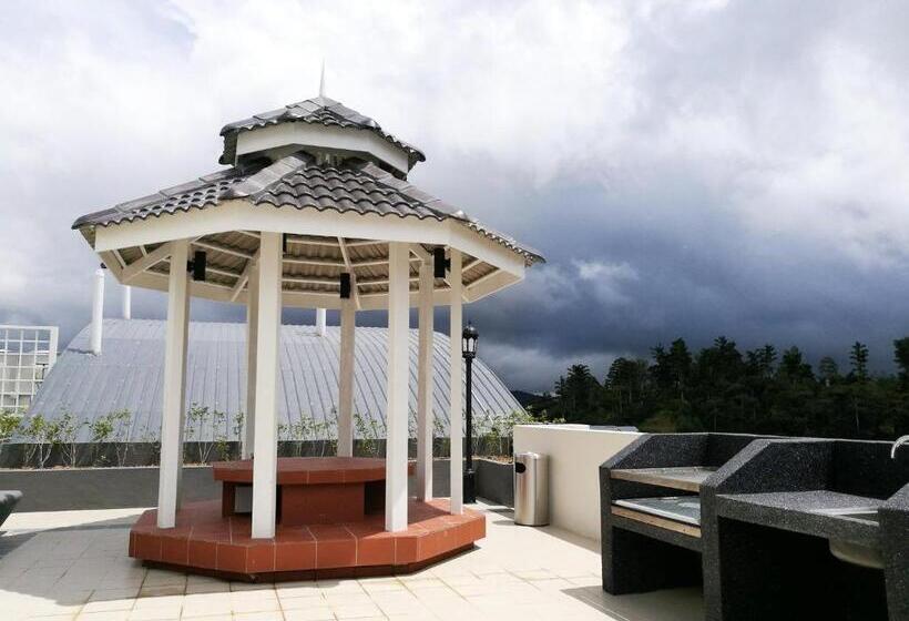 Dreamscape Studio @ Golden Hill Cameron