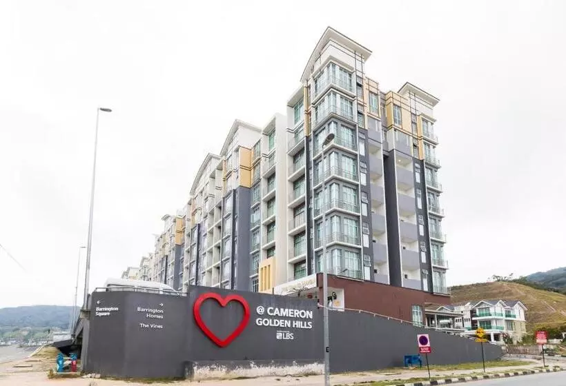 Dreamscape Studio @ Golden Hill Cameron