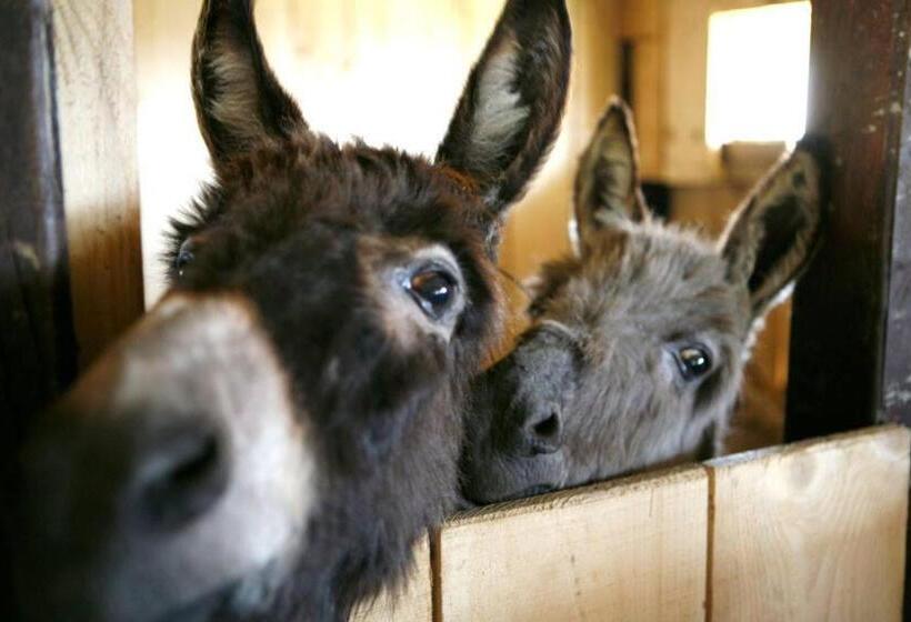 هتل Eko Selo Kostunici