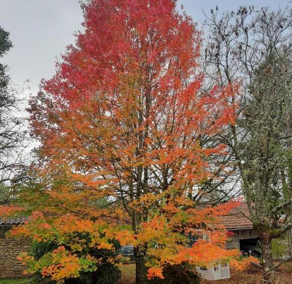 膳宿费 Le Chai, Gîte De Charme Avec Piscine