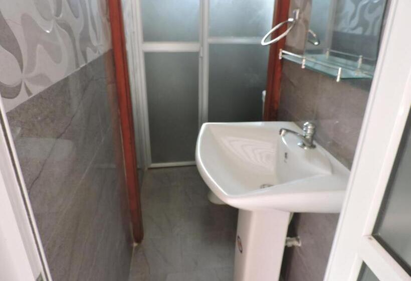 פנסיון The Paddocks Inn