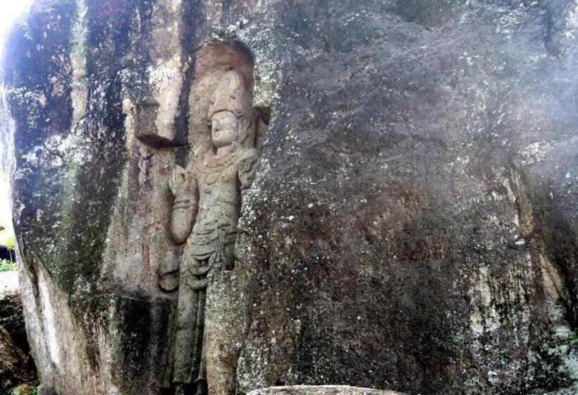 פנסיון The Paddocks Inn