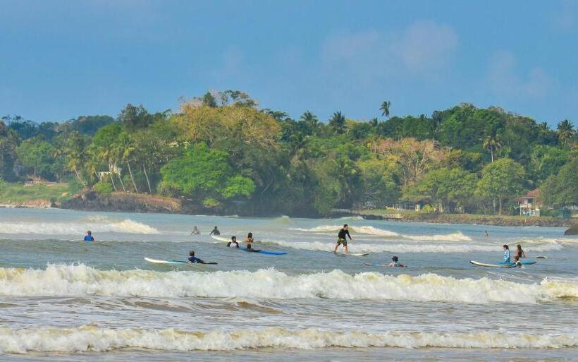 פנסיון The Paddocks Inn