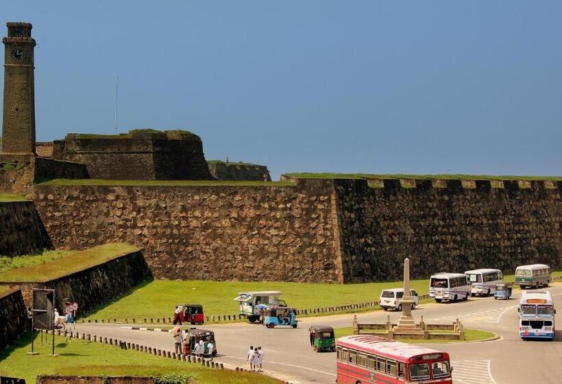 פנסיון The Paddocks Inn