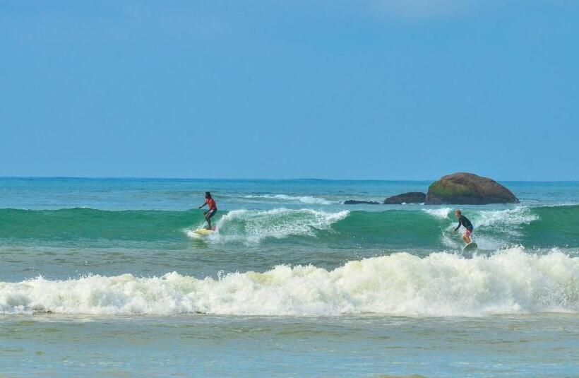 פנסיון The Paddocks Inn