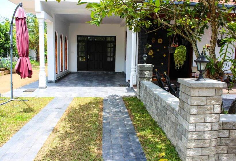 פנסיון The Paddocks Inn