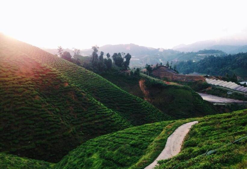 פנסיון Wogoxette Upstairs, A Private Kampung Stay In Cameron Highlands