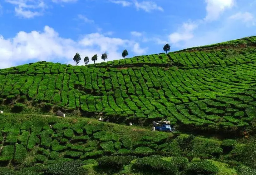 ペンション Wogoxette Upstairs, A Private Kampung Stay In Cameron Highlands