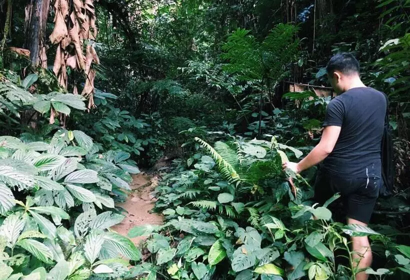 ペンション Wogoxette Upstairs, A Private Kampung Stay In Cameron Highlands