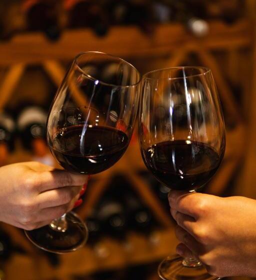 هاستل Pousada Lusitânia