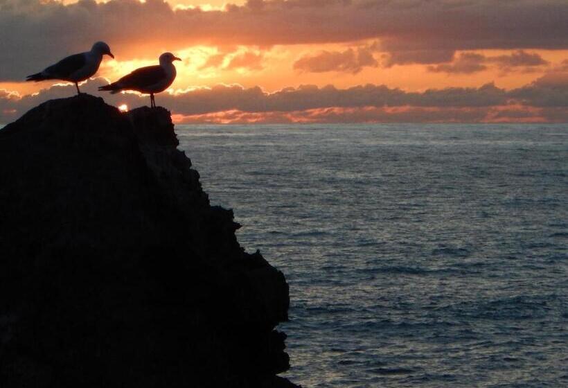 Отель Ondina Guesthouse