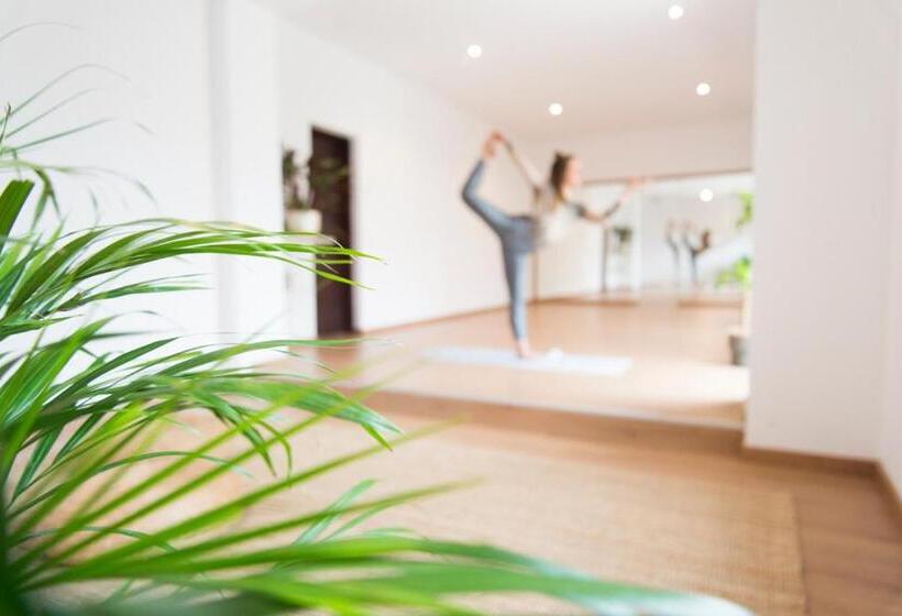 Отель Ondina Guesthouse