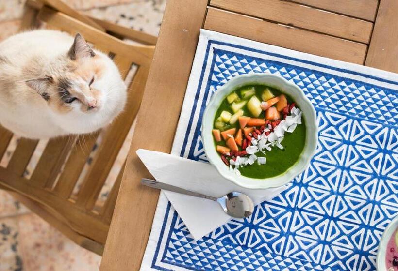 Отель Ondina Guesthouse