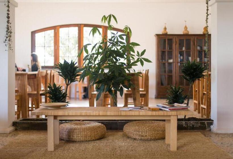 Отель Ondina Guesthouse