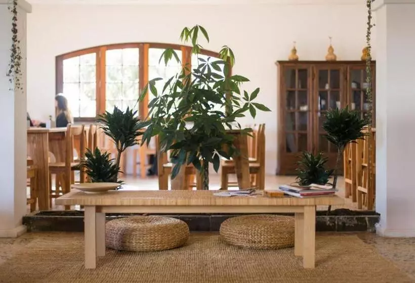 ホテル Ondina Guesthouse
