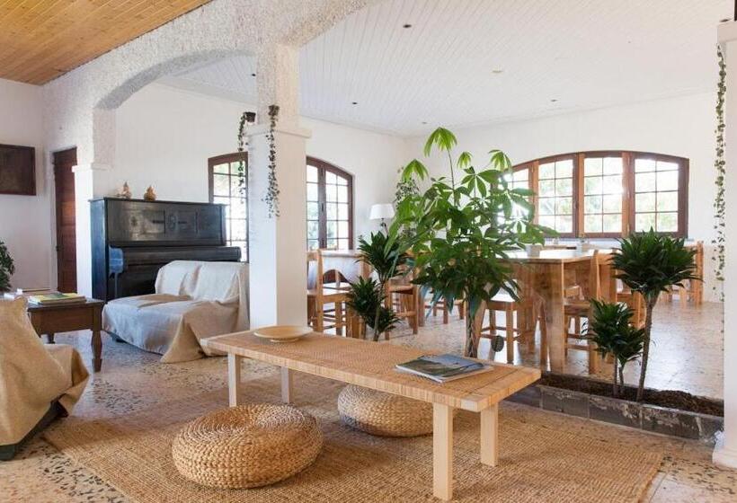 Отель Ondina Guesthouse