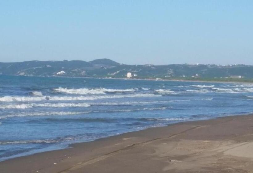 فندق Panorama Guesthouse